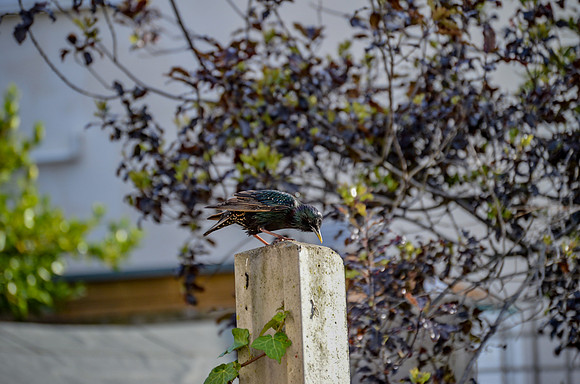 20150513-f266977535