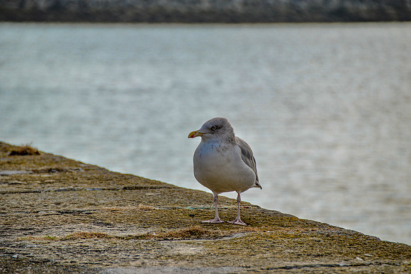 20150930-DSC_0402