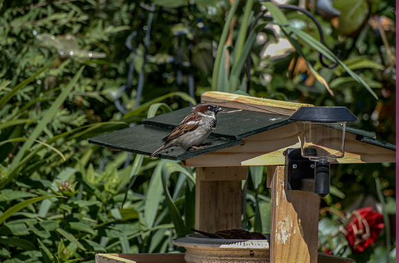 20130613-06-14-2013265