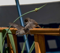 20130613-06-14-2013165