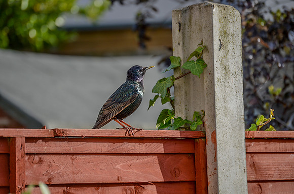 20150513-f266951743