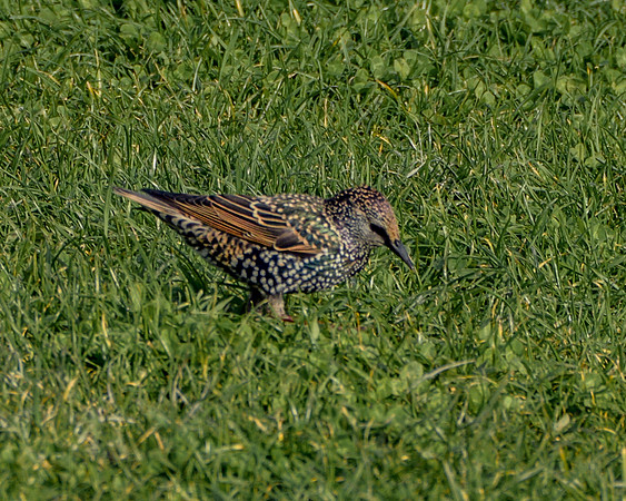 20150930-DSC_0419
